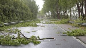 Bomen op een weg na noodweer.