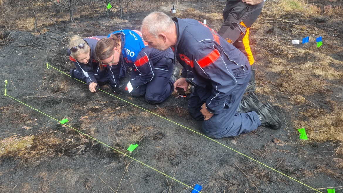 Onderzoekers van team brandonderzoek zoeken de brandoorzaak tijdens de praktijkdagen van de module technisch natuurbrandonderzoek. Foto is gemaakt door Joost Ebus.