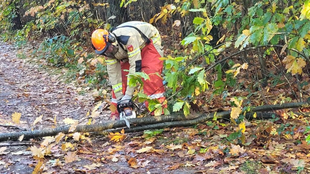 Een brandweerman oefent met kettingzaag op een tak tijdens de instructeurscursus over veilig werken met de kettingzaag. Foto: NIPV.