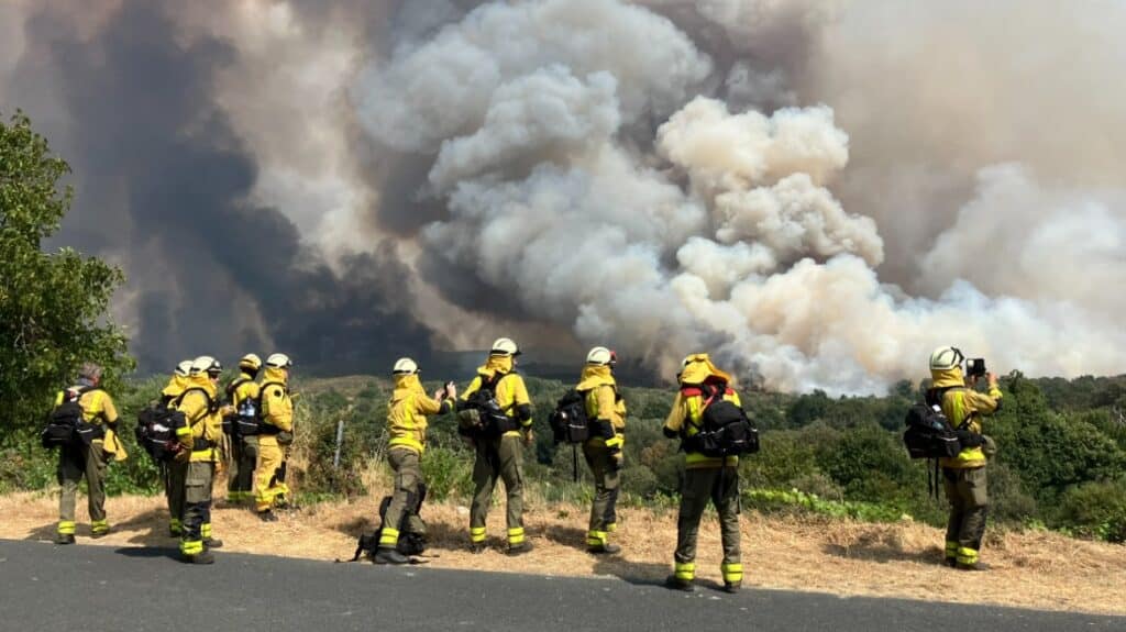 Brandweerlieden kijken van een afstand naar een natuurbrand