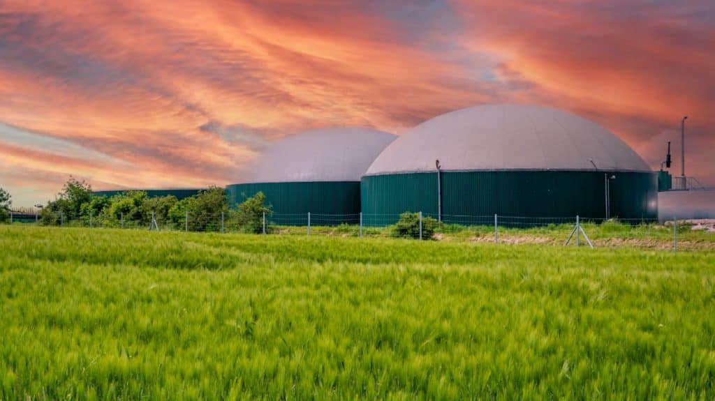 Biogas