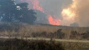 Brand op Edese heide, april 2025